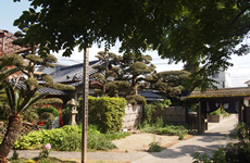 長安寺の庭園風景