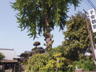 寺院内風景